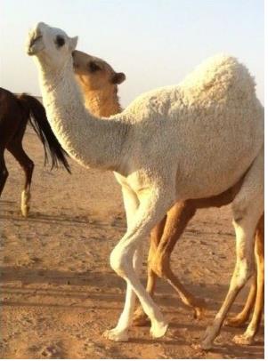 fe2abf19 07ab 4014 8151 a67d35334b72