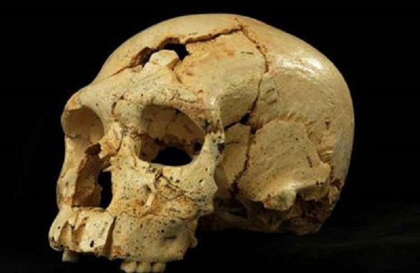 بالصور: العثور على جمجمة هابيل أول قتيل في الأرض بعد 430 ألف عام f918