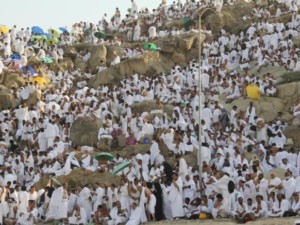 عرفات.. دموع التائبين على سفح جبل الرحمة عرفات