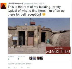 مجاهدات النكاح