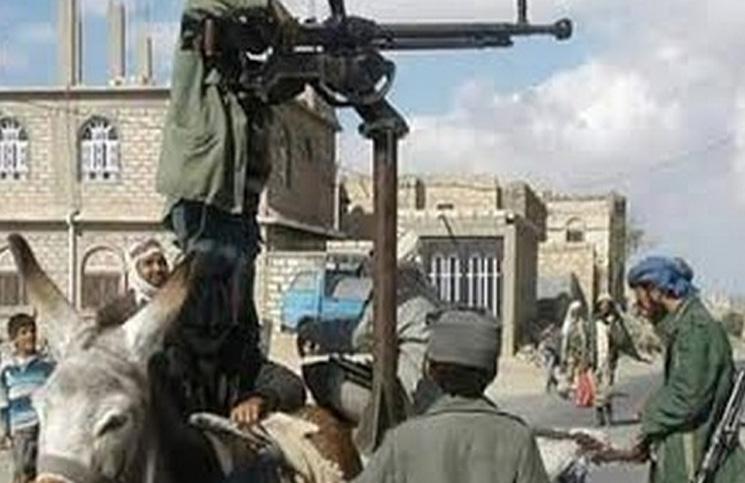 صورة حمار يحمل رشاشاً في جبهة القتال اليمنية حمار يحمل رشاش