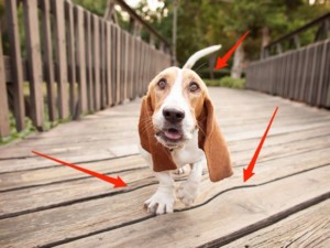 1201622191730571تعديل-صور-،-صور-فوتوشوب-،-تطبيقات-تعديلات-صور-،-فوتوشوب-(1)