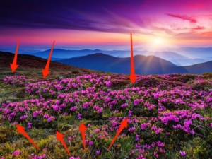 1201622191730574تعديل-صور-،-صور-فوتوشوب-،-تطبيقات-تعديلات-صور-،-فوتوشوب-(4)