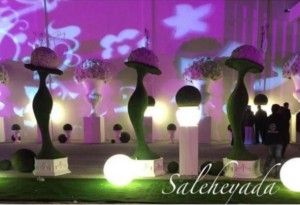 زفاف-الكويت-1