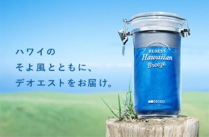 ملابس رجالية مرتفعة الثمن فقط لأنها تعرضت لجو هاواي ملابس-1906161