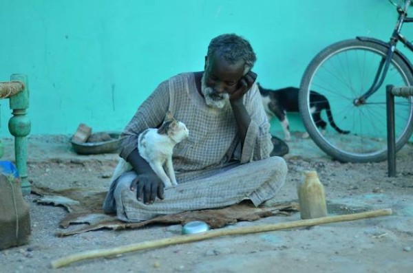 سوداني يتونس مع القطط 1